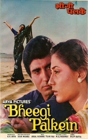 Bheegi Palkein