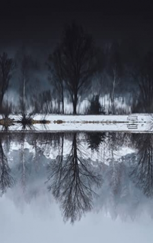 The Darker the Lake