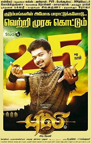 Puli