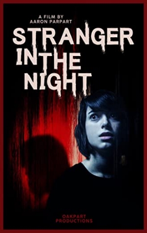 Stranger in the Night