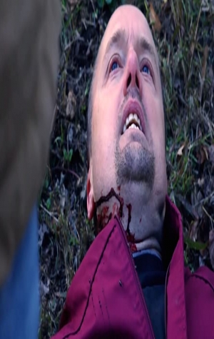 Bloodshed