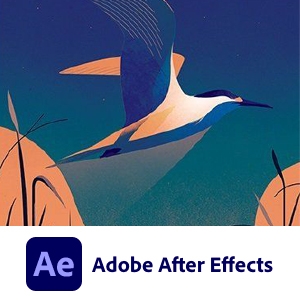 Adobe Animate 2023