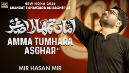 Amma Tumhara Asghar
