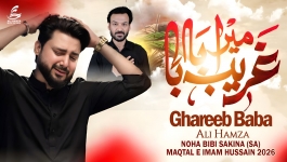 Mera Ghareeb Baba