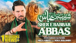 Sher E Babbar Abbas
