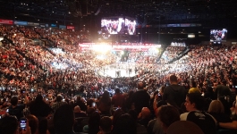 Ultimate Fighting Championship - 2025-10-04