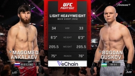 Ultimate Fighting Championship - 2026-07-25